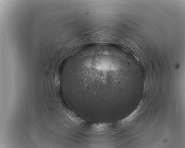 X0000095540186200712211356