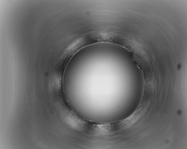 X0000095540188200712211356