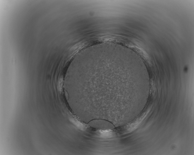 X0000095540189200712211356