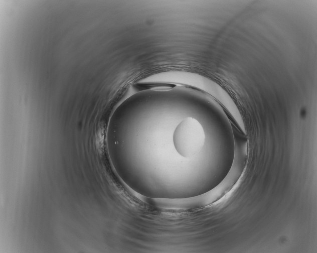 X0000095540190200712211356