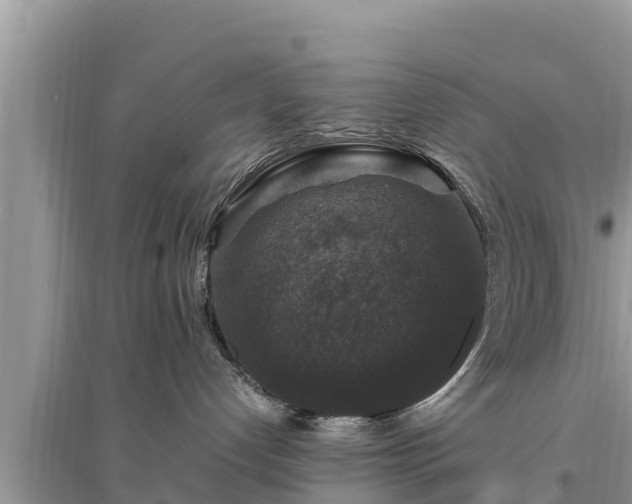 X0000095540192200712211356