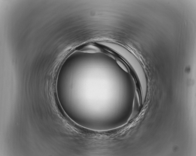 X0000095540193200712211355