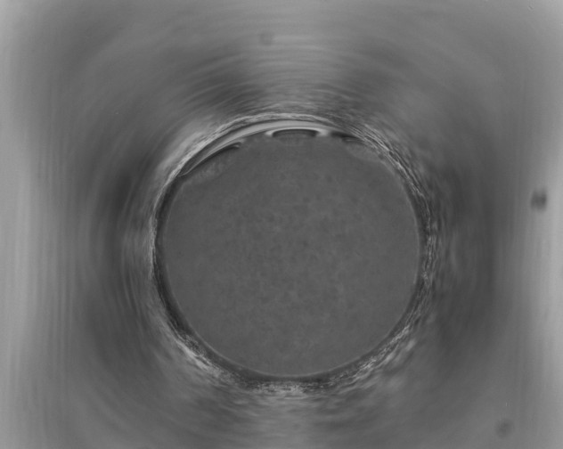 X0000095540194200712211355