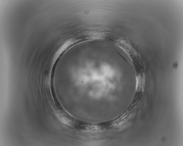 X0000095540195200712211355