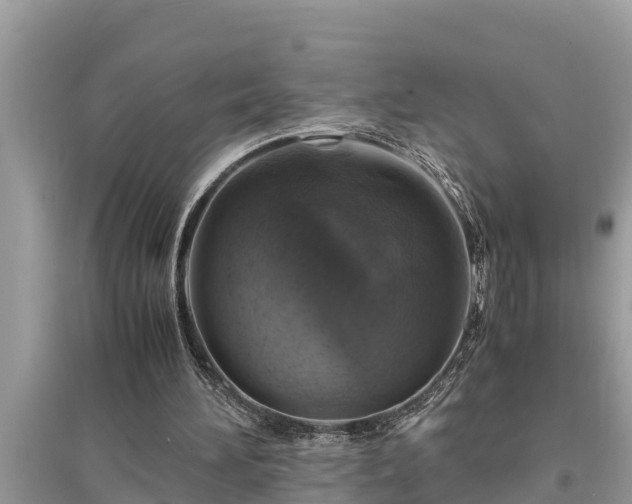 X0000095540196200712211355