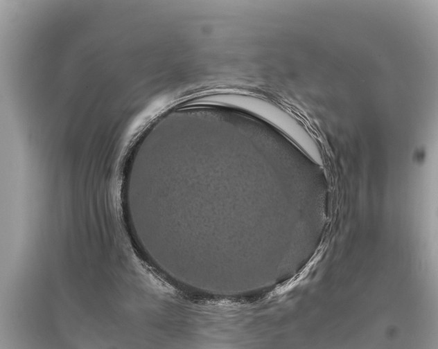 X0000095540197200712211355