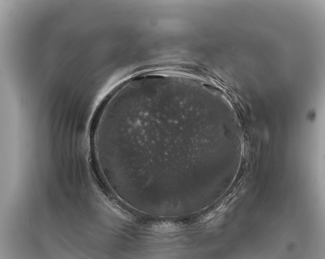 X0000095540198200712211355