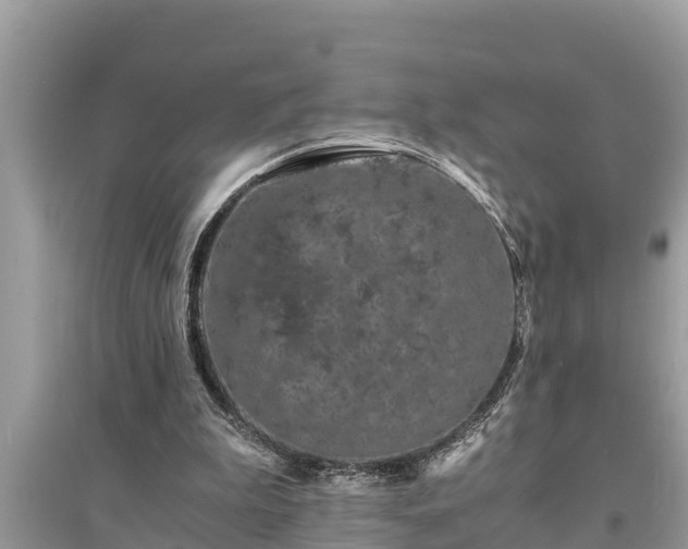 X0000095540199200712211355