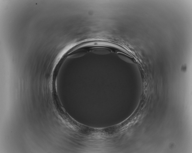 X0000095540200200712211355