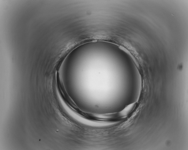 X0000095540201200712211355