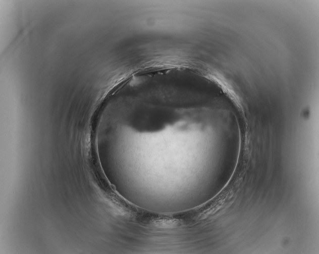 X0000095540202200712211355