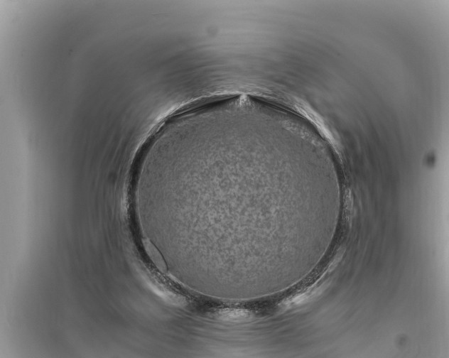 X0000095540203200712211355