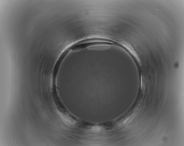 X0000095540204200712211355