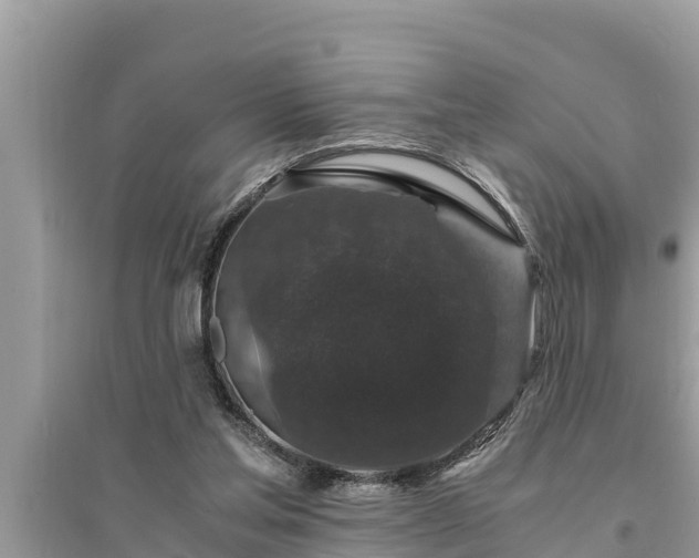 X0000095540205200712211355