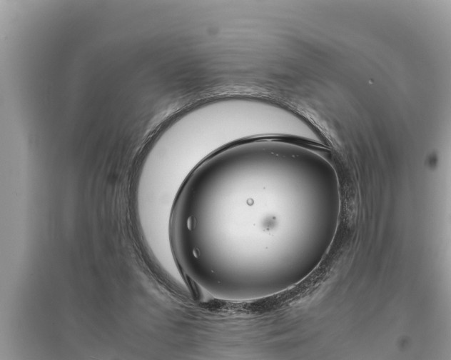 X0000095540207200712211355