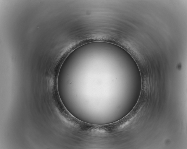 X0000095540208200712211355