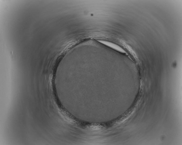 X0000095540209200712211355