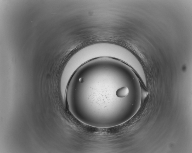 X0000095540211200712211355