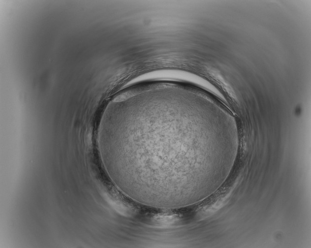 X0000095540213200712211355