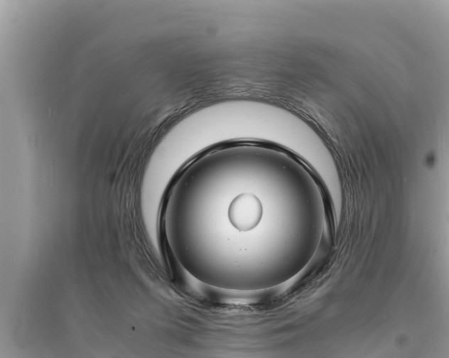 X0000095540215200712211355