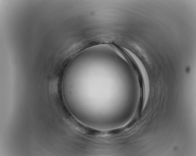 X0000095540217200712211355