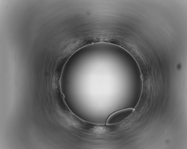 X0000095540218200712211355