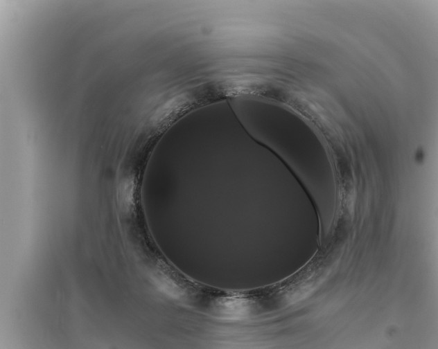 X0000095540219200712211355