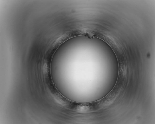 X0000095540220200712211355