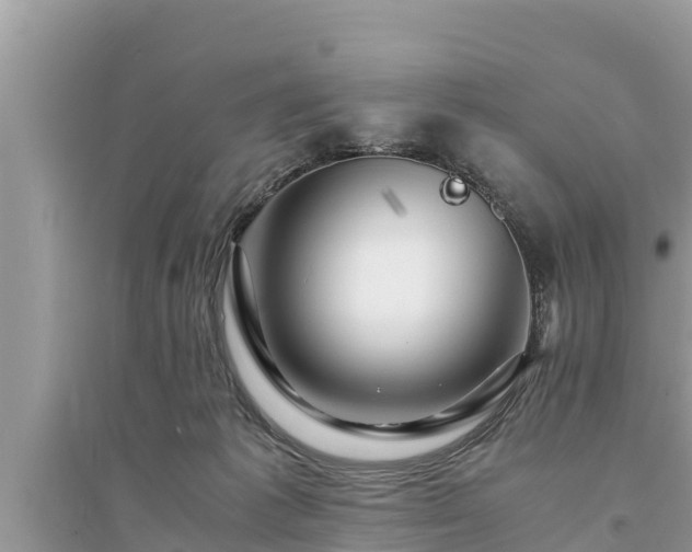 X0000095540221200712211355