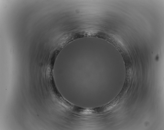 X0000095540222200712211355