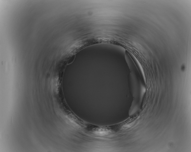 X0000095540223200712211355