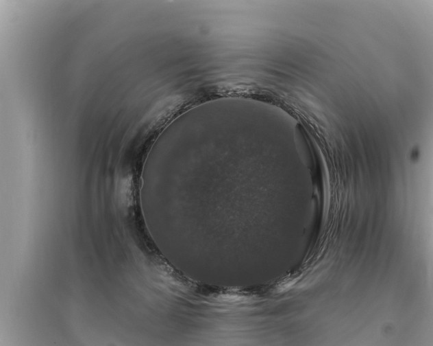 X0000095540224200712211355