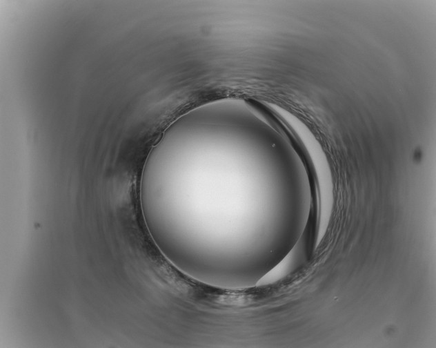 X0000095540225200712211355