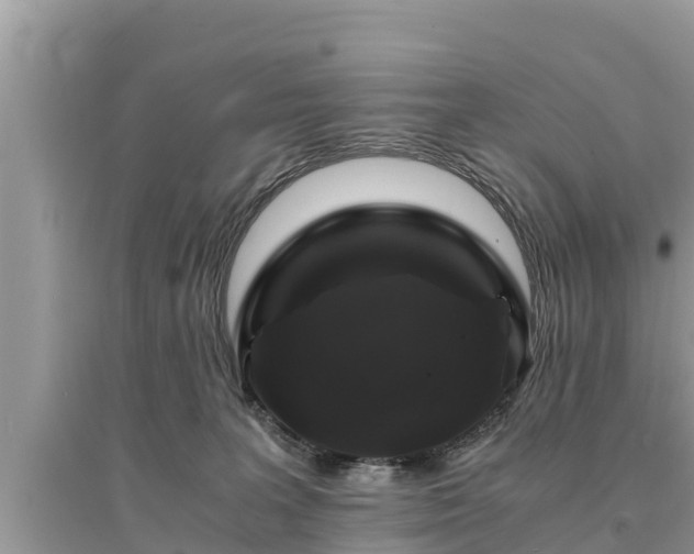 X0000095540227200712211354