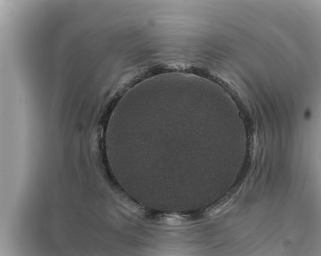 X0000095540229200712211354