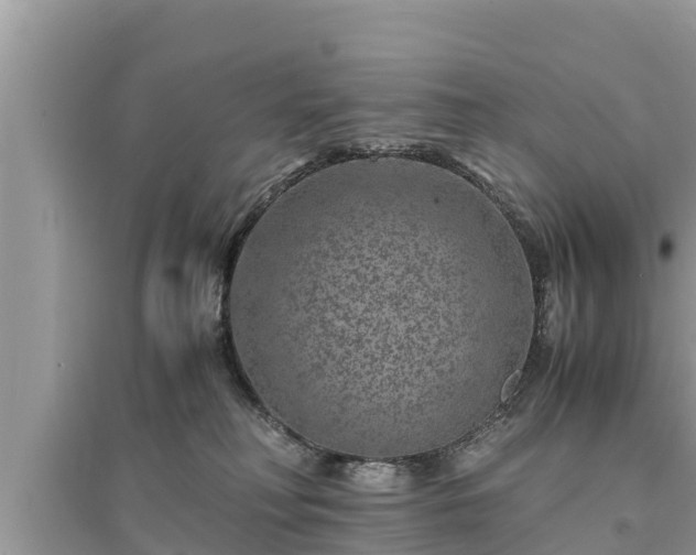 X0000095540230200712211354