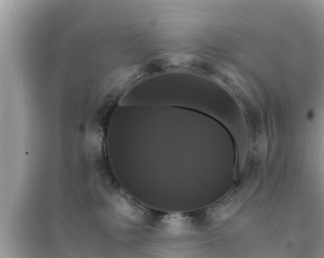 X0000095540231200712211354