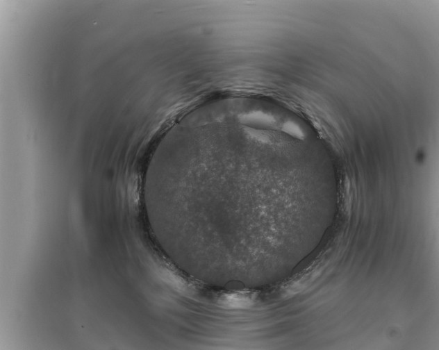 X0000095540232200712211354