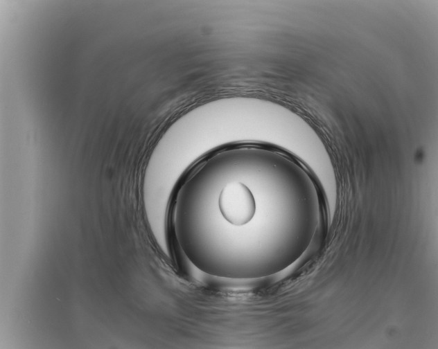 X0000095540233200712211354