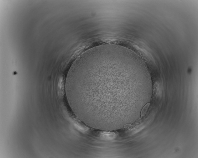 X0000095540234200712211354