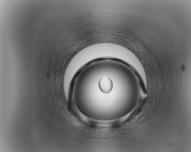 X0000095540235200712211354