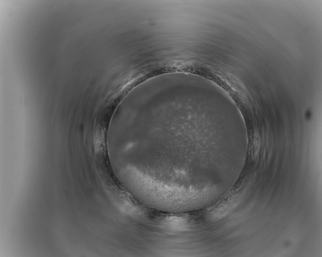 X0000095540236200712211354