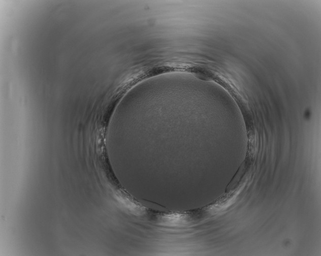 X0000095540237200712211354