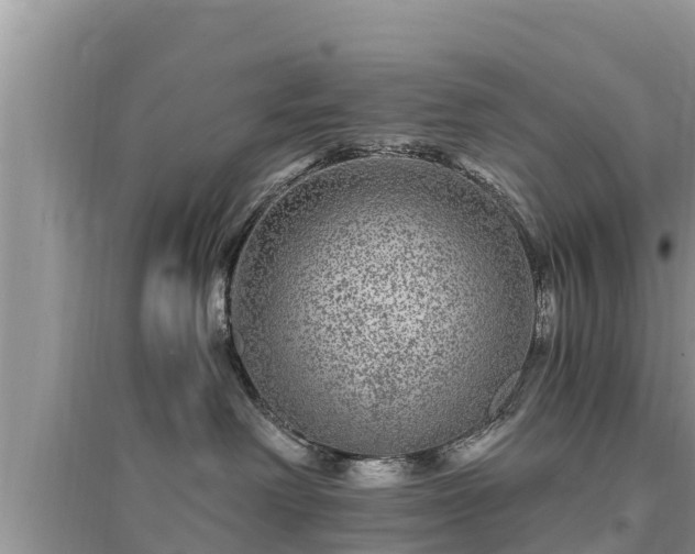 X0000095540238200712211354