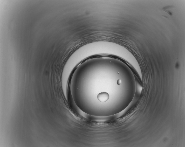 X0000095540239200712211354