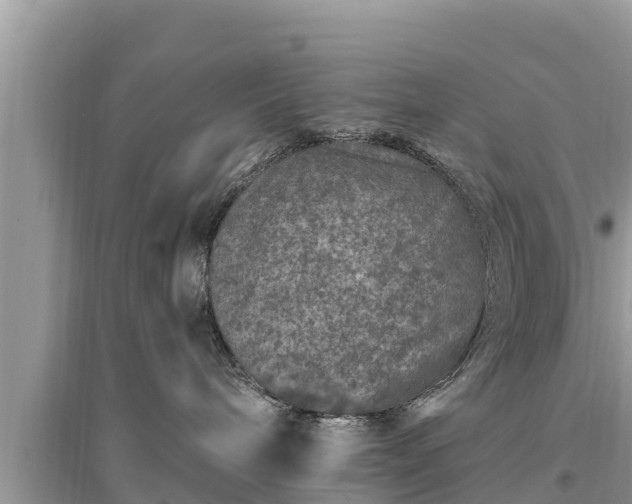 X0000095540240200712211354