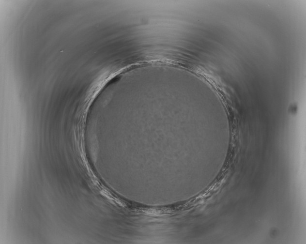 X0000095540241200712211354