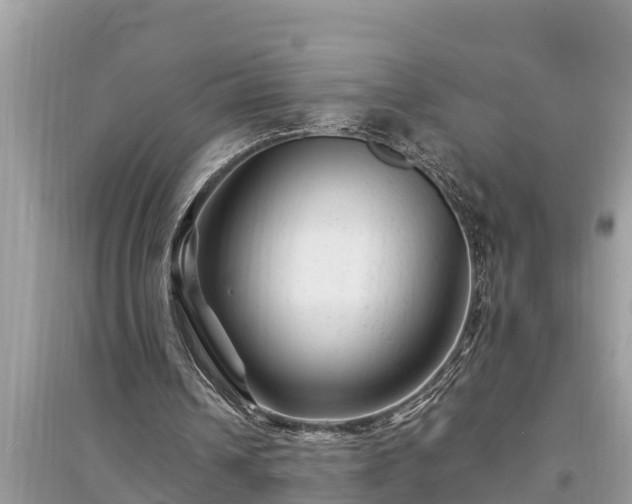 X0000095540242200712211354