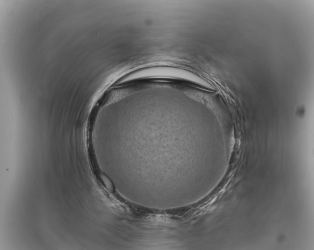 X0000095540244200712211354