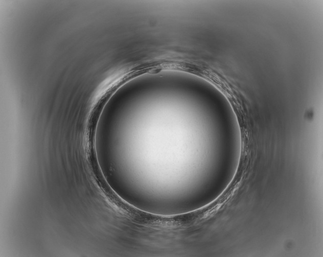 X0000095540245200712211354